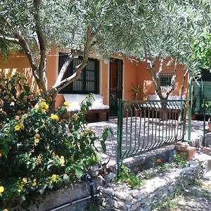 Il Vigneto 